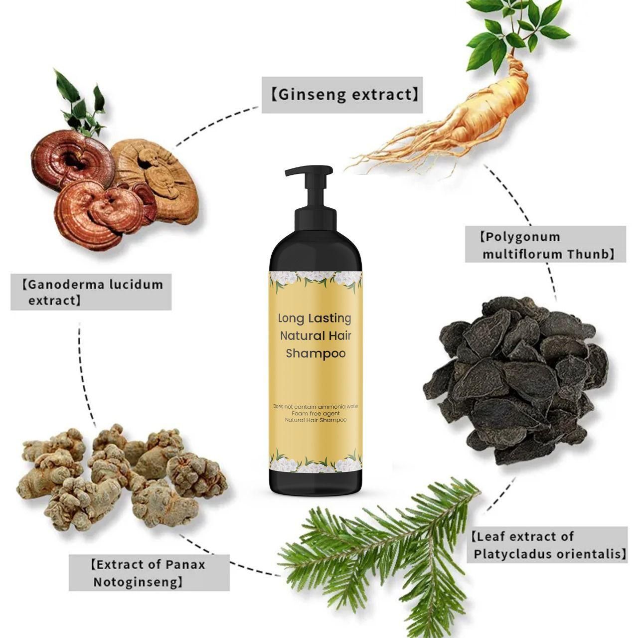 Long Lasting Natural Hair Shampoo – Naturally Black Hair (Pack of 2)